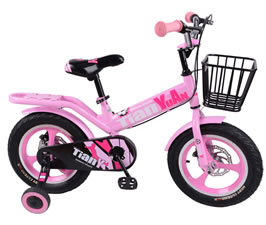 Children Bike  TY-TC1804